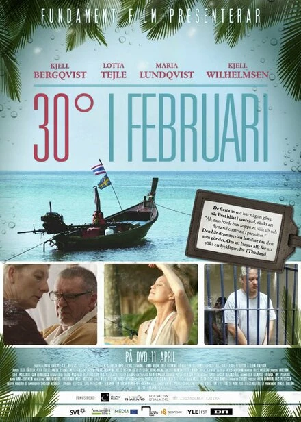 Постер 30 градусов в феврале 2012