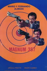 Магнум 357 1981 постер