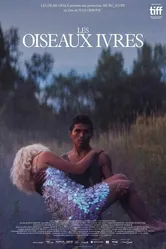 Les oiseaux ivres постер