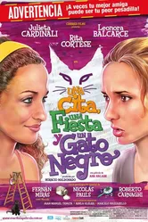Встреча, праздник и черный кот 2009 постер