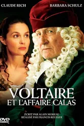 Дело Вольтера и Каласа 2007 постер