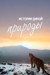 История дикой природы 2020 постер