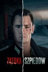 Шпионский залив 2024 постер