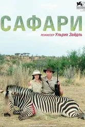 Сафари 2016 постер