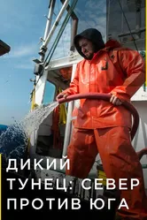 Дикий тунец: Север против Юга 2014 постер