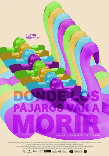 Постер Donde los pájaros van a morir