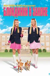 Блондинки в законе 2009 постер