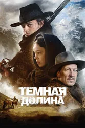 Тёмная долина 2014 постер