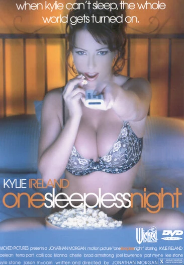 Постер One Sleepless Night