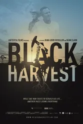 Black Harvest постер
