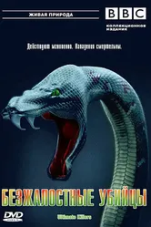 BBC: Безжалостные убийцы 2001 постер