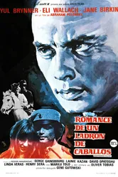 Роман конокрада 1971 постер
