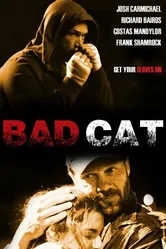 Bad Cat постер