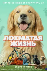 Лохматая жизнь 2023 постер