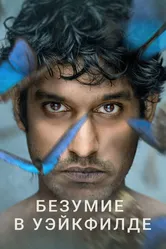 Безумие в Уэйкфилде 2021 постер