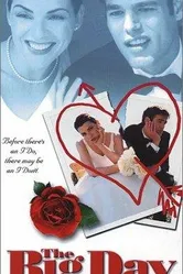 Big Day 1999 постер