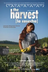 The Harvest/La Cosecha постер