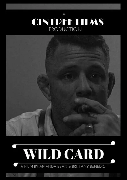 Постер Wild Card 2020