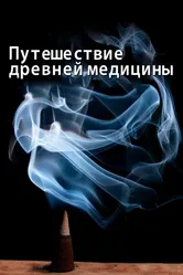 Путешествие древней медицины 2010 постер
