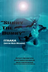 Sunny the Bunny постер