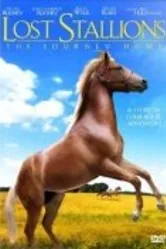 Lost Stallions: The Journey Home постер