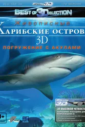 Карибские острова 3D: Погружение с акулами 2012 постер