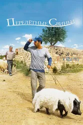 Перелетные свиньи 2011 постер