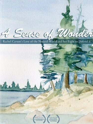 Постер A Sense of Wonder