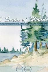 A Sense of Wonder постер