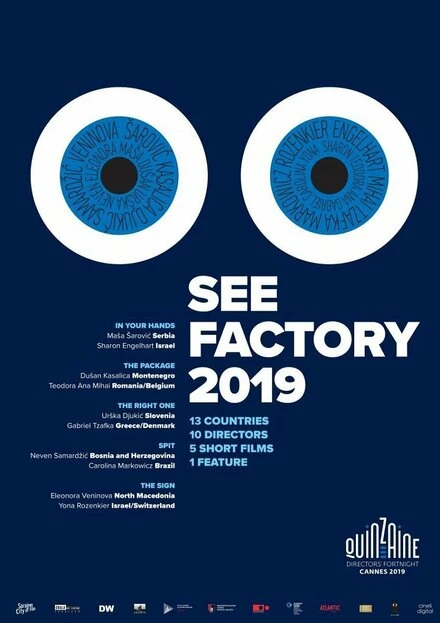 Постер Взгляд изнутри: Сараево, любовь моя 2019
