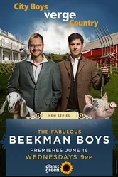 The Fabulous Beekman Boys постер
