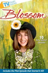Изящный цветок 1990 постер