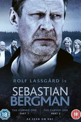 Себастьян Бергман 2010 постер