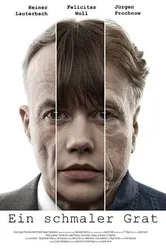 Тонкий стержень 2013 постер