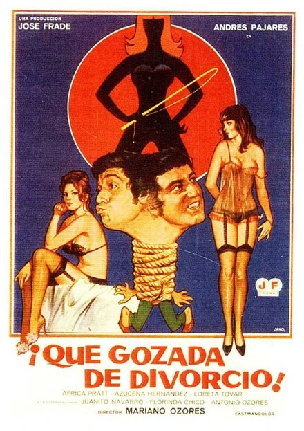 Постер ¡Qué gozada de divorcio!