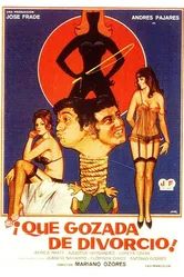 ¡Qué gozada de divorcio! постер