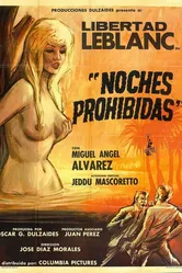 Noches prohibidas постер
