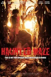 Haunted Maze постер