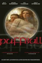 Гриб дождевик 2007 постер
