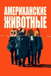 Американские животные 2018 постер