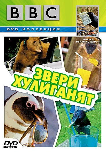 Постер BBC: Звери хулиганят 2004