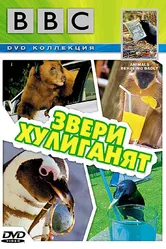 BBC: Звери хулиганят 2004 постер