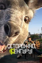 Осторожно, Кенгуру! 2020 постер