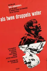 Как две капли воды 1963 постер
