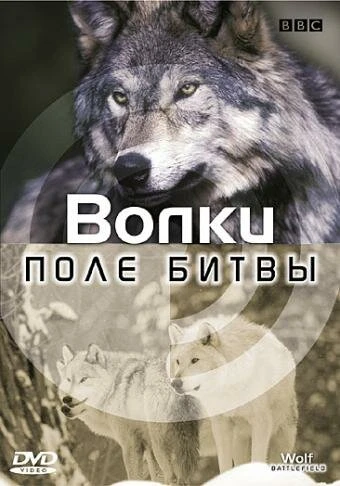 Постер BBC: Поле битвы 2003