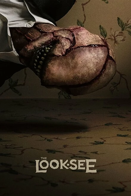 Постер The Look-See