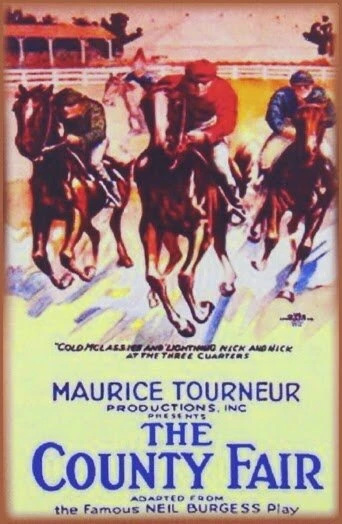 Постер The County Fair 1920