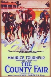 The County Fair 1920 постер