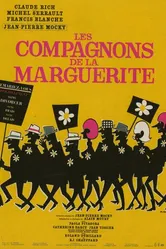 Соратники Маргаритки 1967 постер