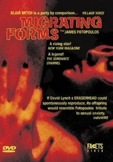Постер Migrating Forms